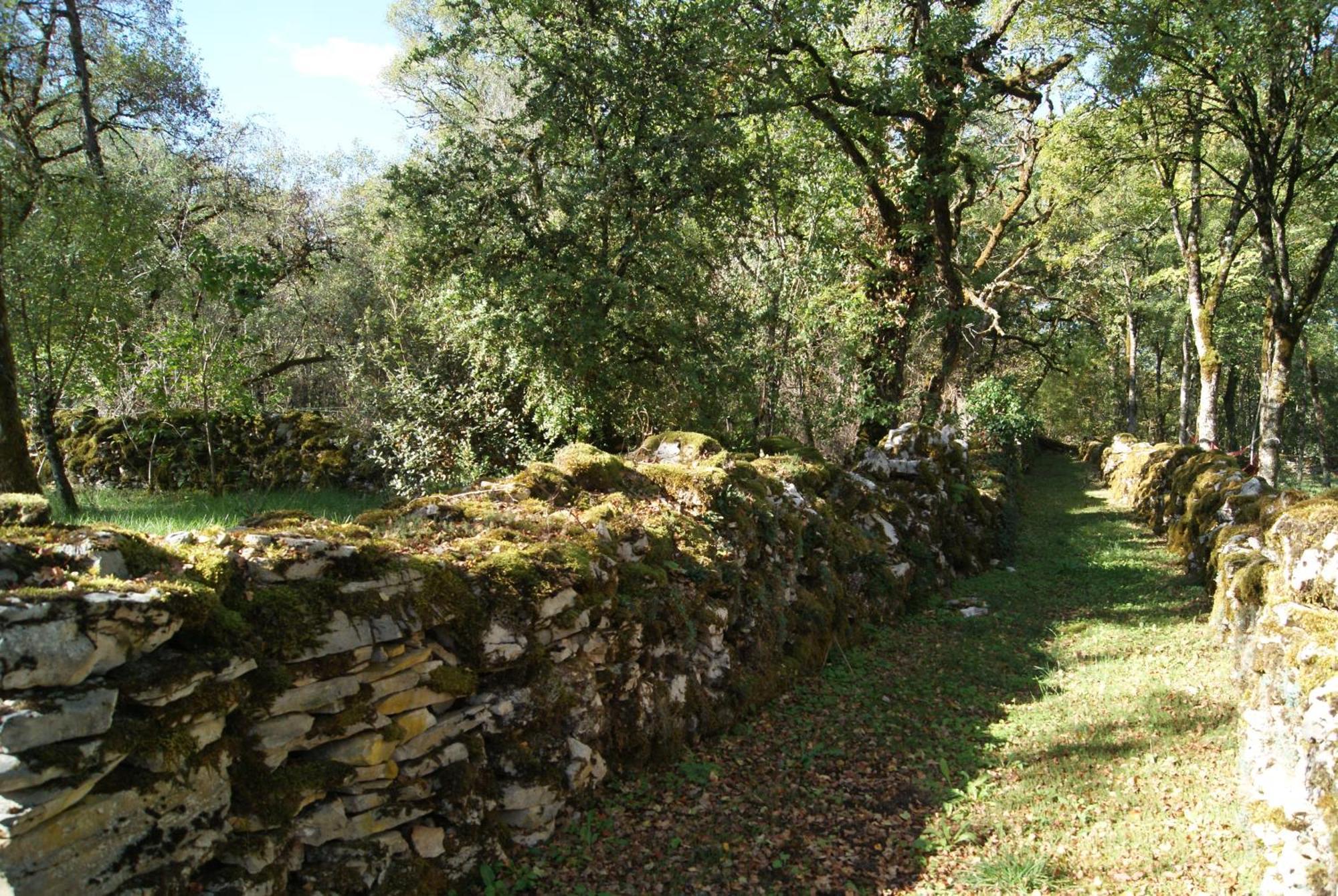 Le Domaine De La Claire Fontaine Gites -Chambres D'Hotes Montvalent Kültér fotó